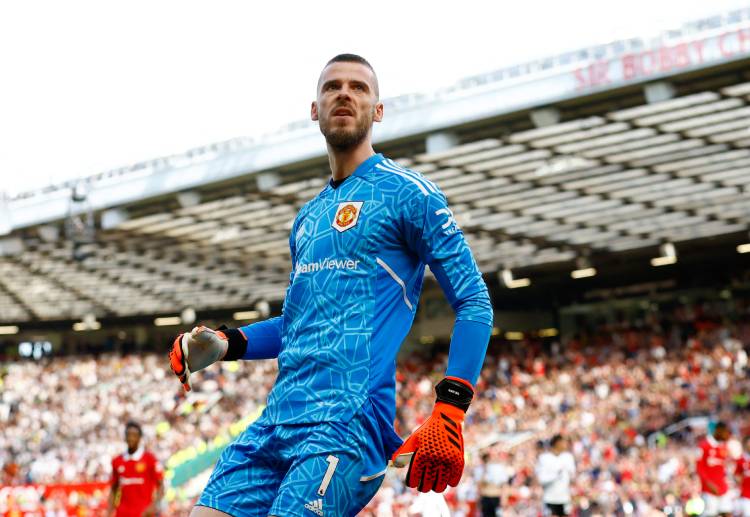 Dù đôi khi mắc sai lầm nhưng De Gea vẫn thể hiện màn trình diễn ấn tượng ở Premier League mùa vừa rồi